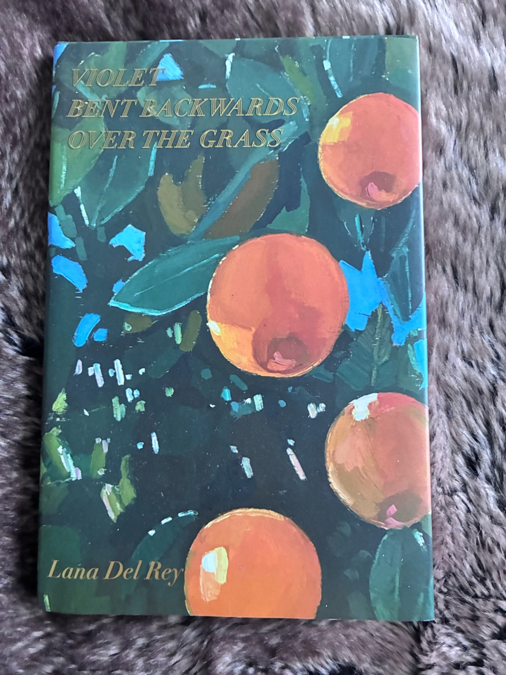 LANA DEL REY POETRY  BOOK